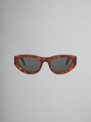 Marni Acetate Rainbow Mountains Πολύχρωμο | PGRER82013