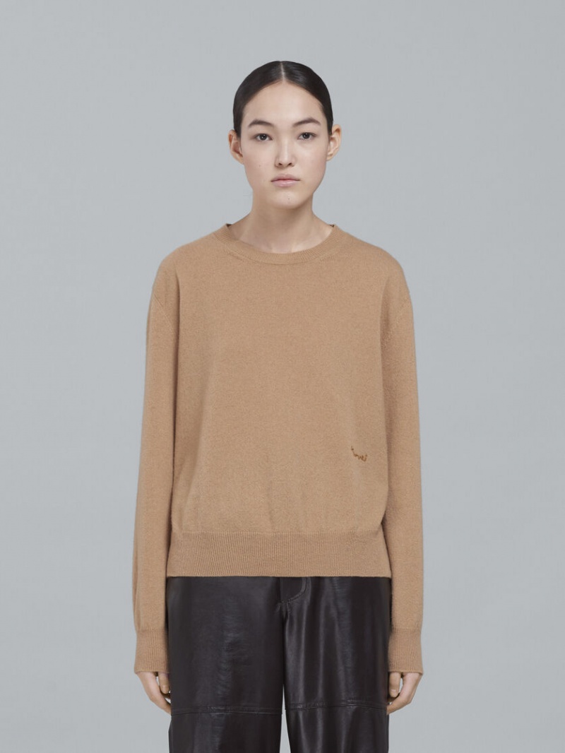 Marni Logo Cashmere Crewneck πουλοβερ Μπεζ | UGRTG92678