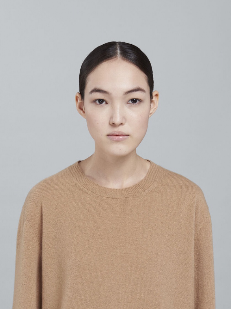 Marni Logo Cashmere Crewneck πουλοβερ Μπεζ | UGRTG92678